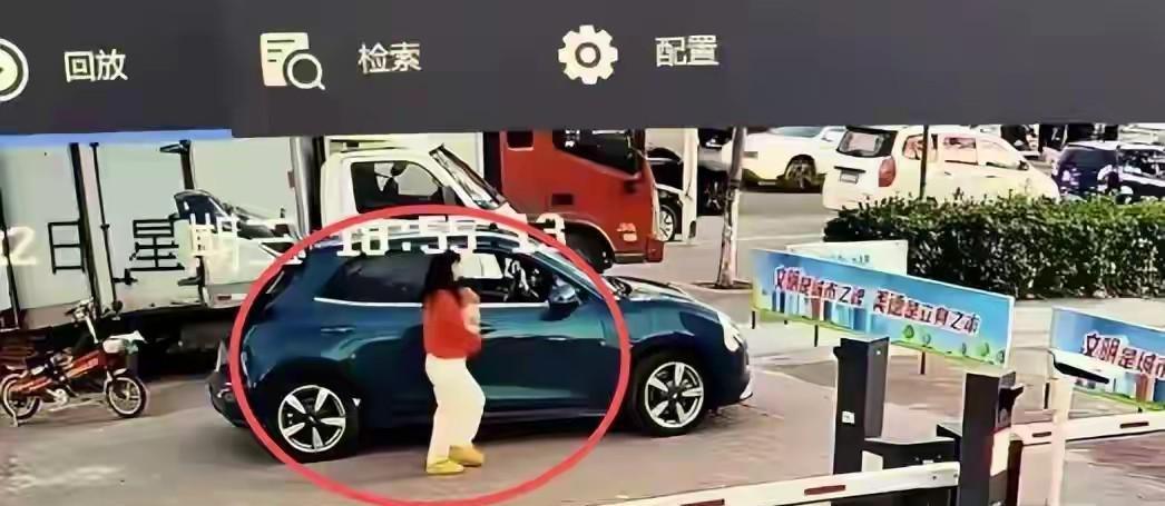 华体会网站-河北偷狗女子社会性死亡：人被拘了，名声臭了，更恶心的还在后面