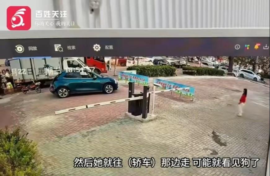 华体会网站-河北偷狗女子社会性死亡：人被拘了，名声臭了，更恶心的还在后面