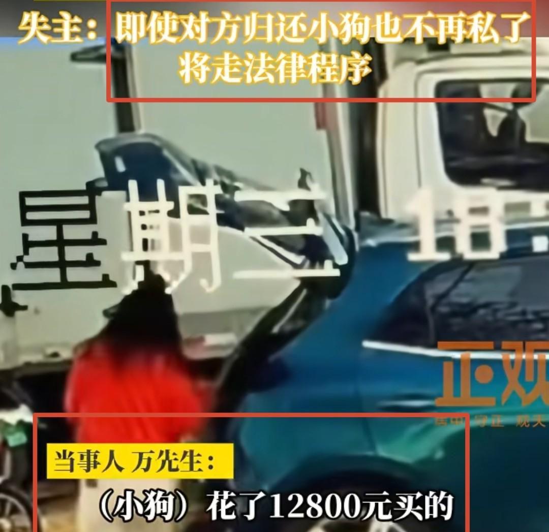 华体会网站-河北偷狗女子社会性死亡：人被拘了，名声臭了，更恶心的还在后面