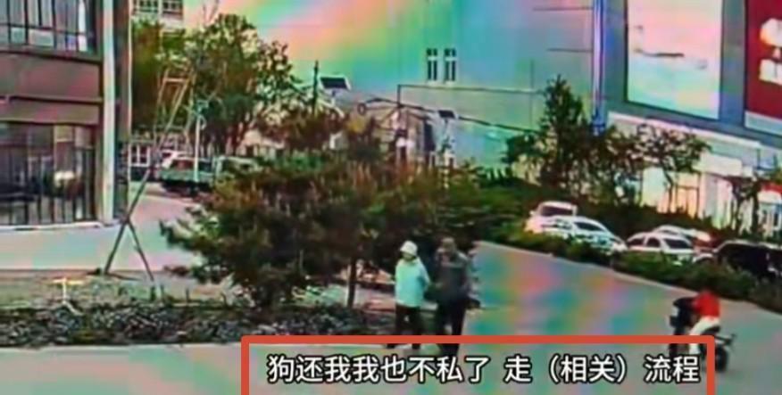 华体会网站-河北偷狗女子社会性死亡：人被拘了，名声臭了，更恶心的还在后面