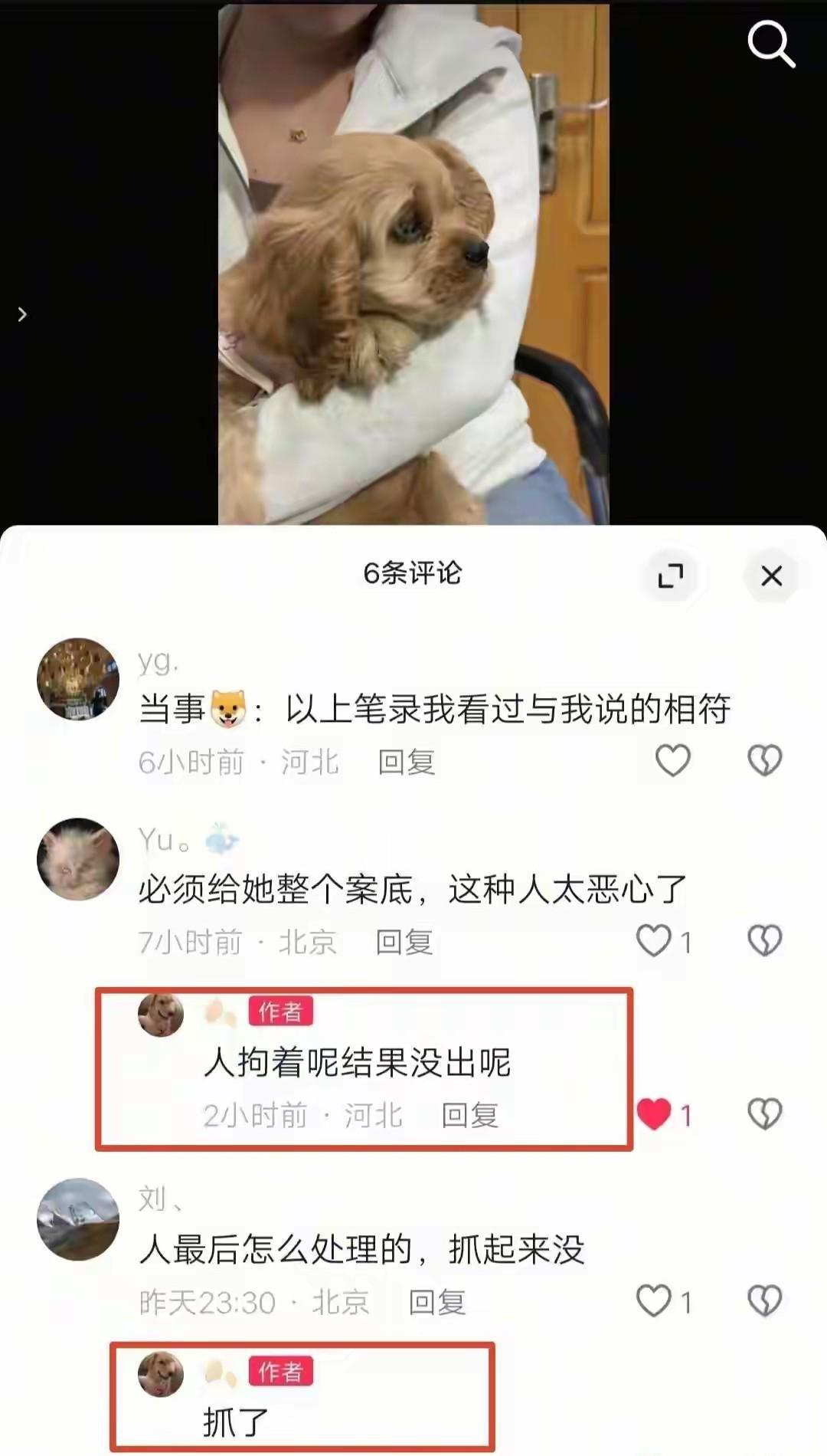 华体会网站-河北偷狗女子社会性死亡：人被拘了，名声臭了，更恶心的还在后面