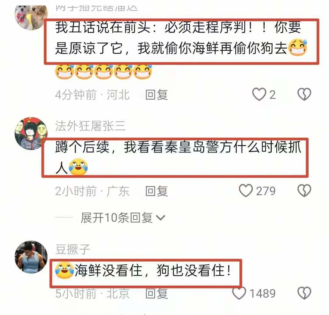 华体会网站-河北偷狗女子社会性死亡：人被拘了，名声臭了，更恶心的还在后面